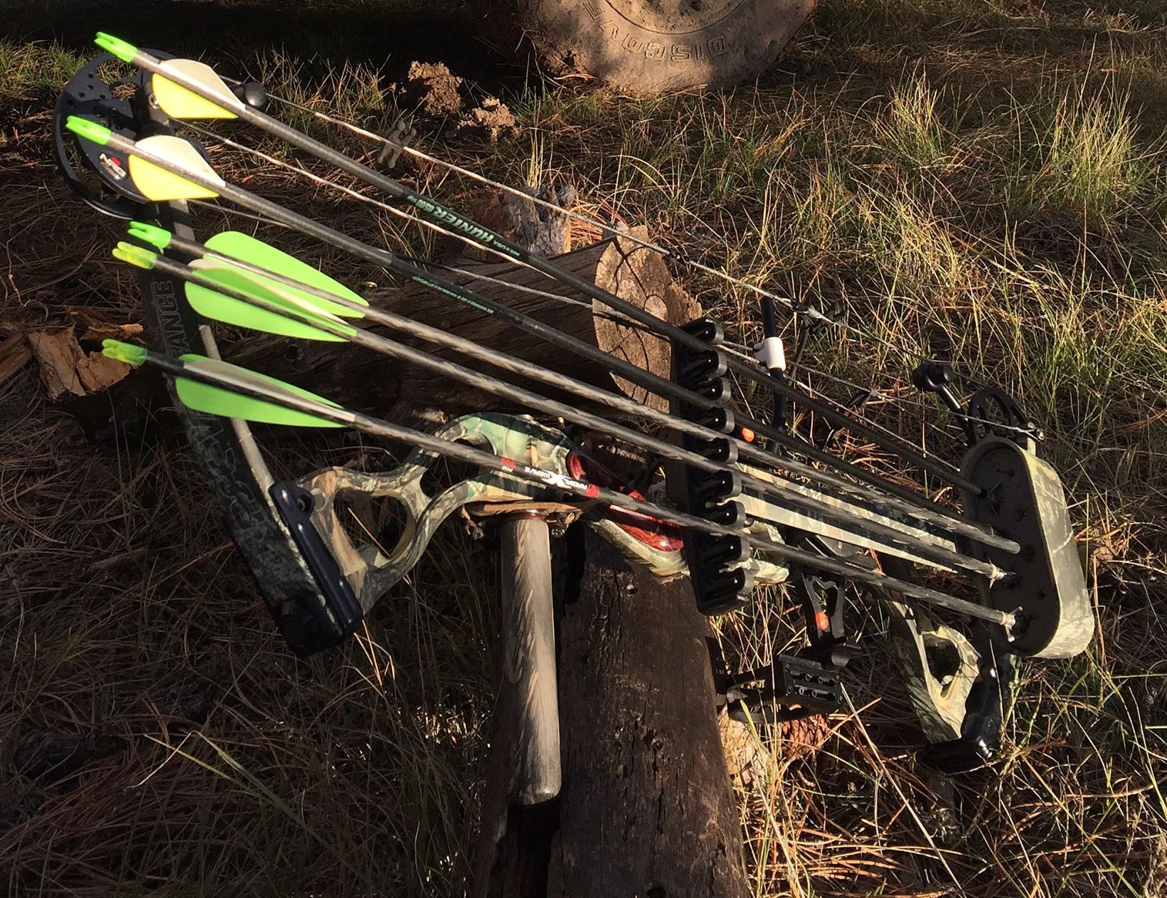 Compound bow